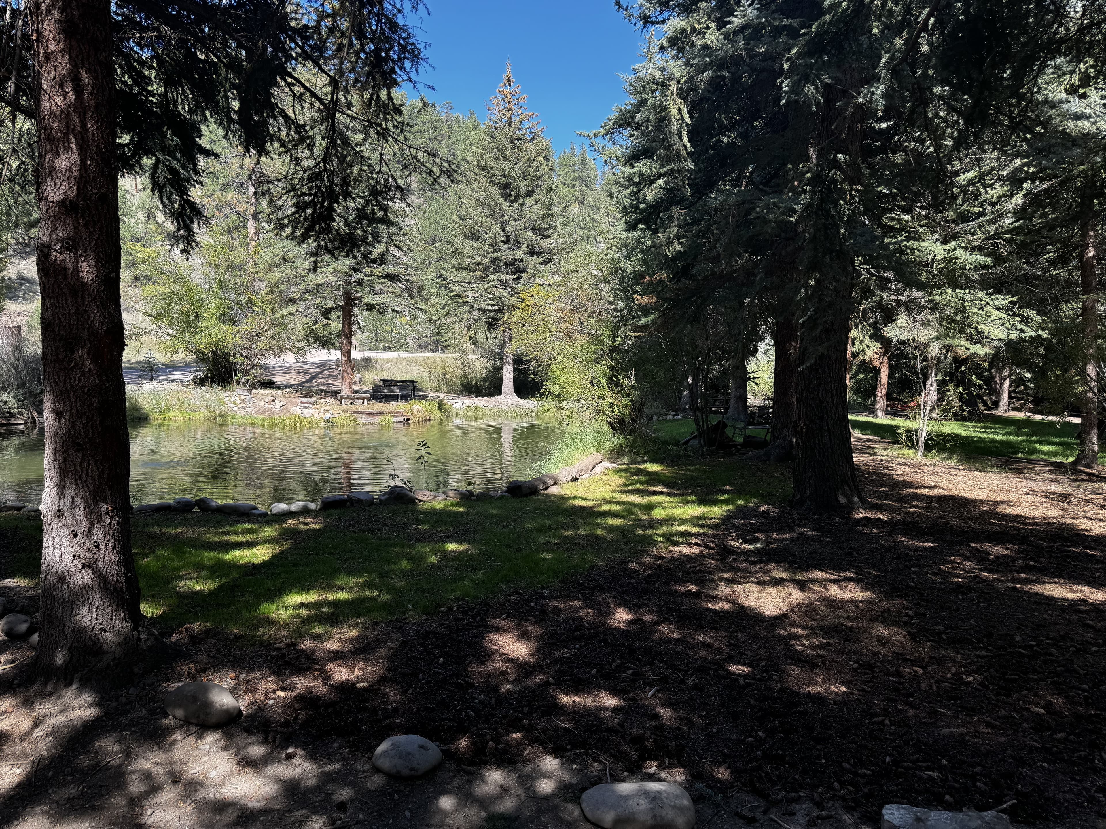 Grubbing and site prep Colorado