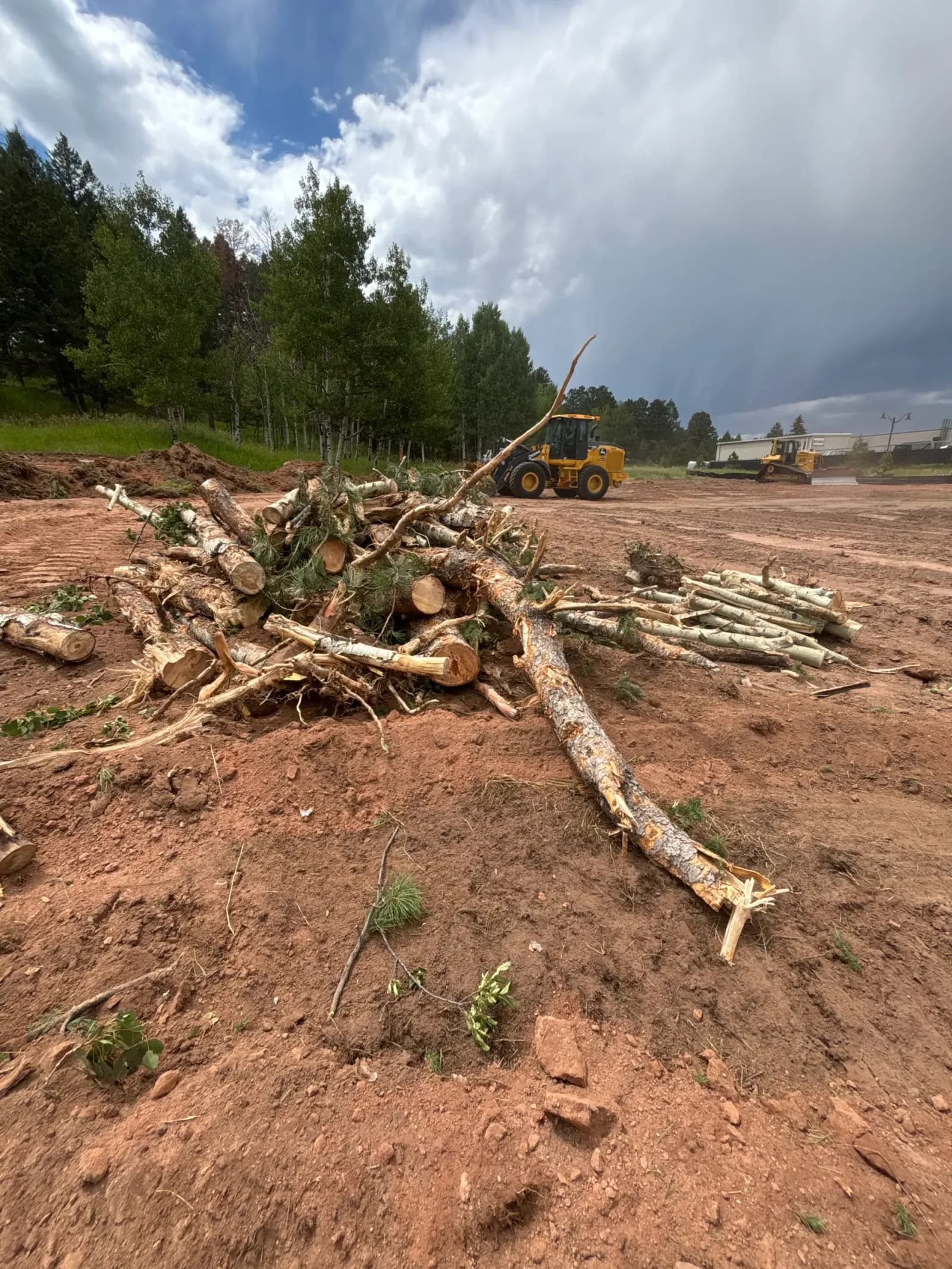 Woodland Park – Mass Grading — photo 5