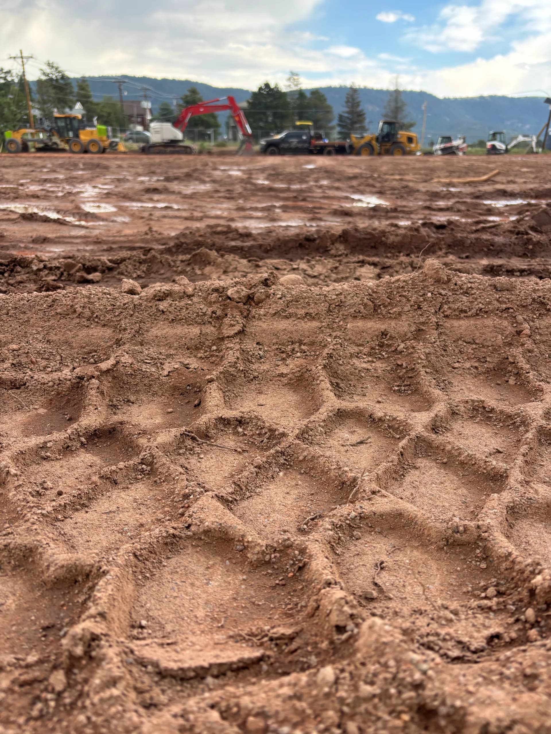 Woodland Park – Mass Grading — photo 8